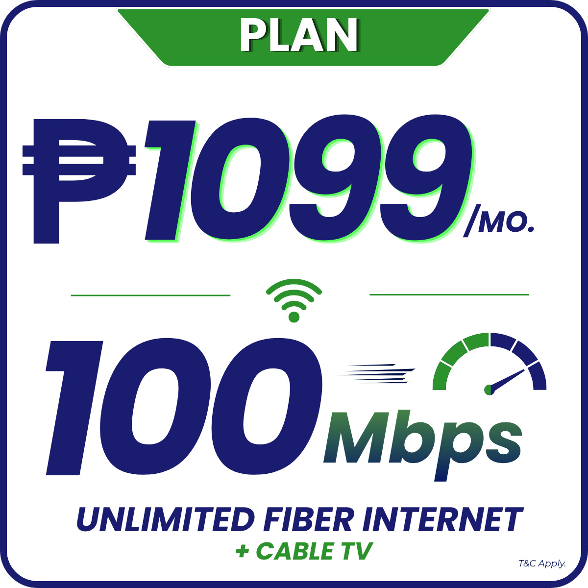 PLAN 1799 30MBPS