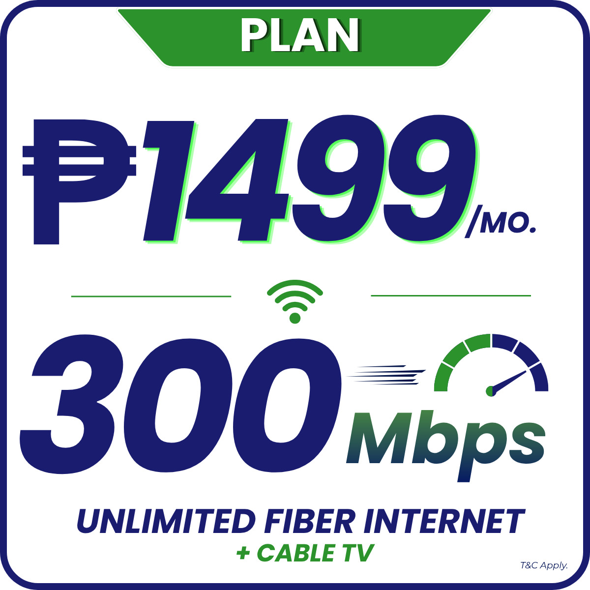 PLAN 2799 50MBPS