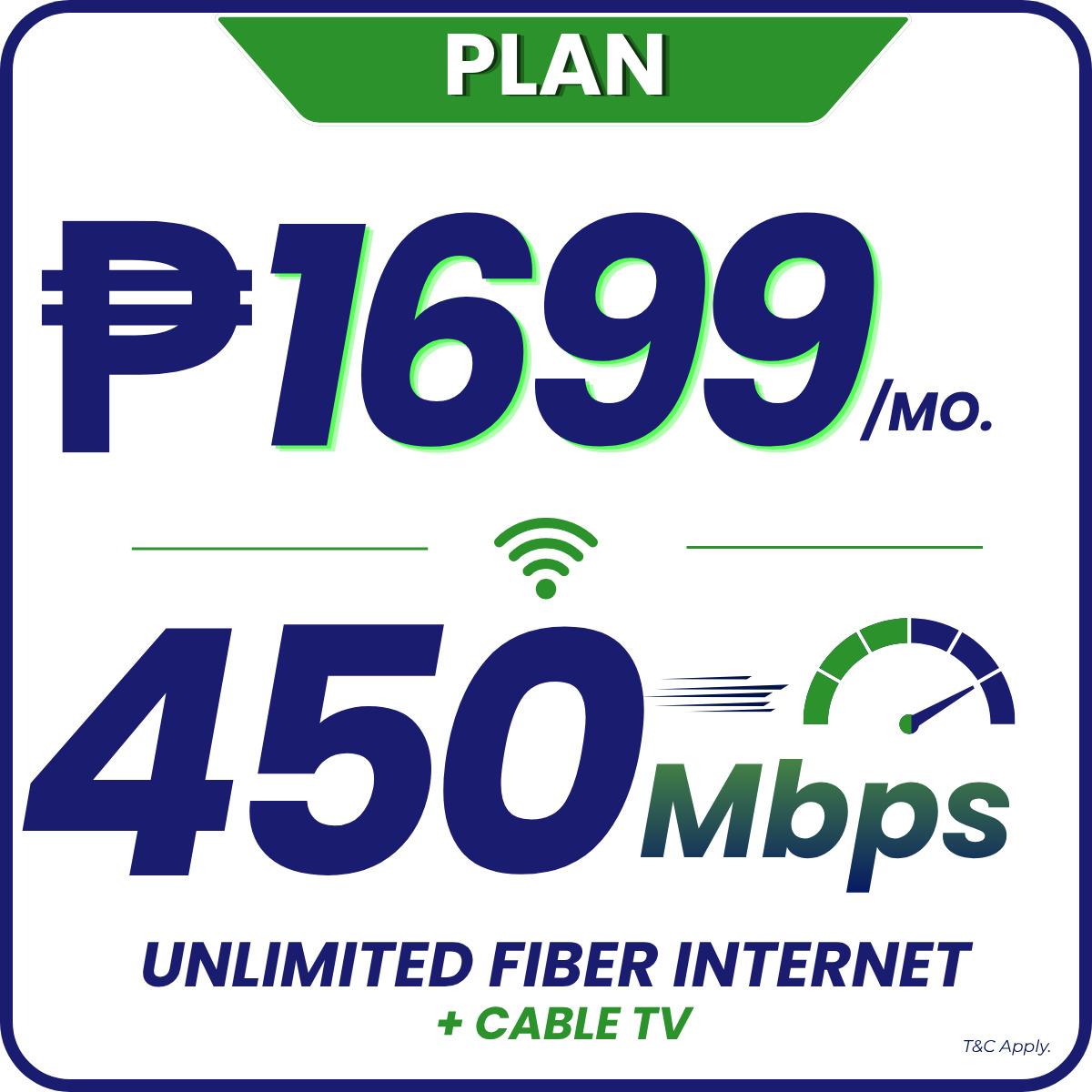 PLAN 2999 60MBPS