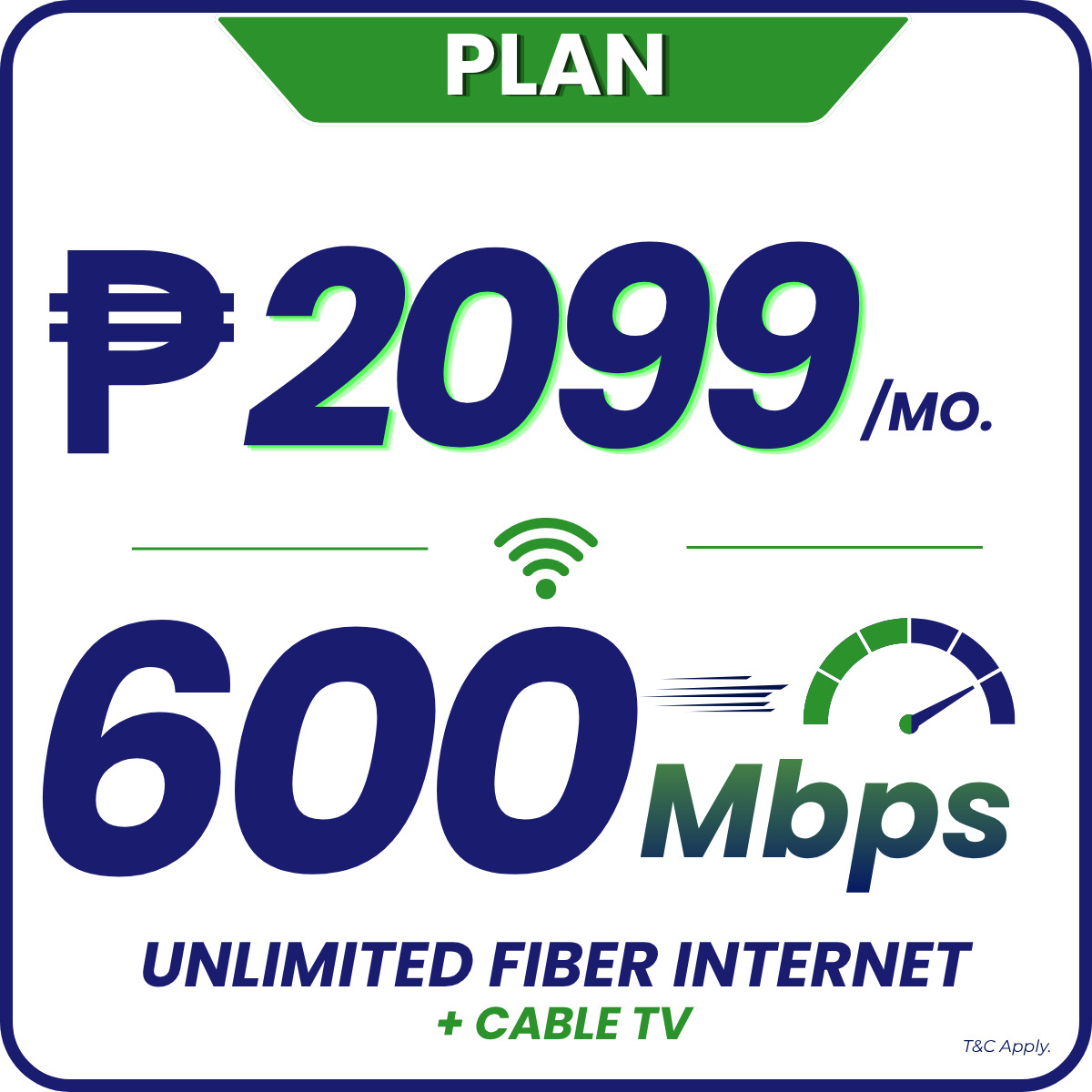 PLAN 3599 100MBPS