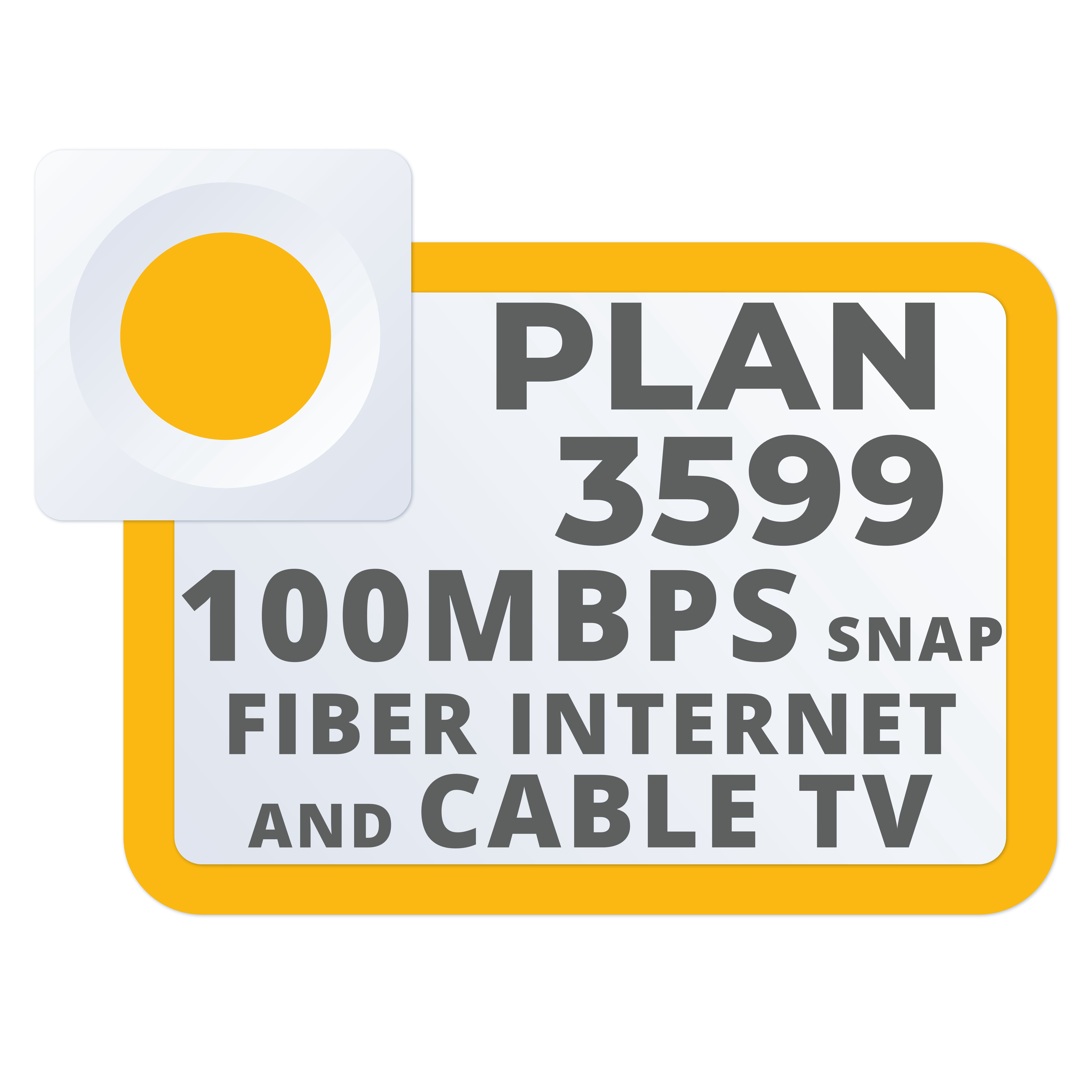 PLAN 3599 100MBPS